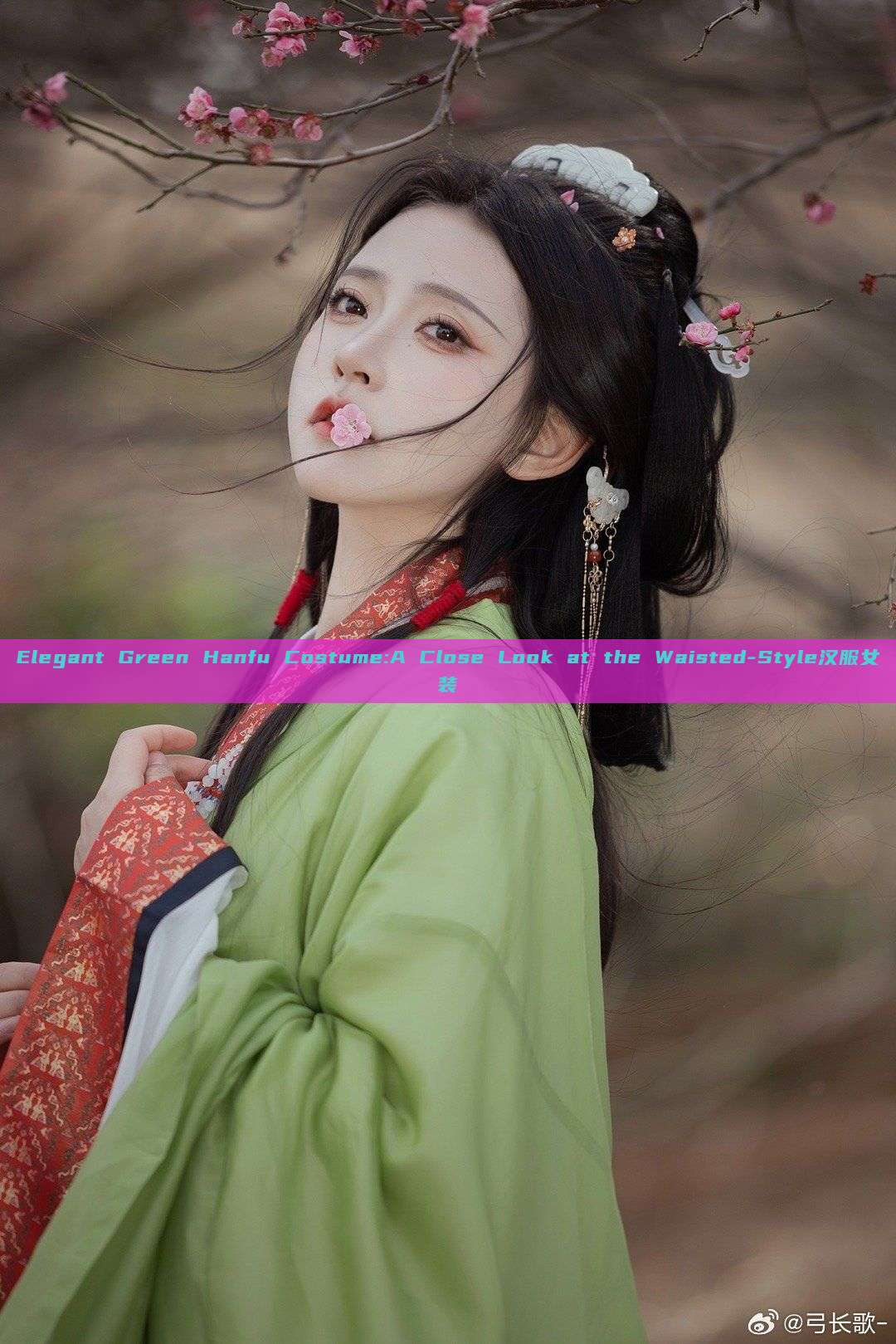 Elegant Green Hanfu Costume:A Close Look at the Waisted-Style汉服女装 Elegant Green Hanfu Costume:A Close Look at the Waisted-Style汉服女装
