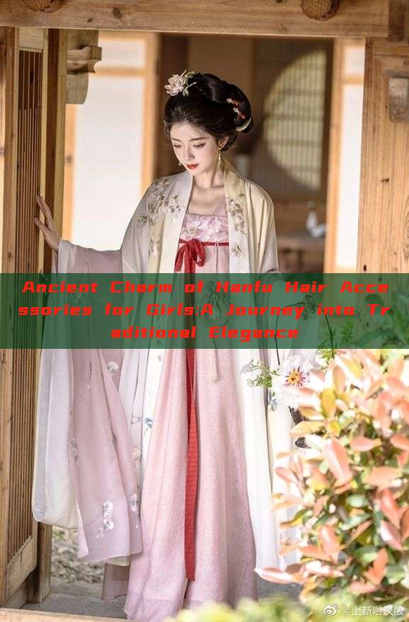Ancient Charm of Hanfu Hair Accessories for Girls:A Journey into Traditional Elegance