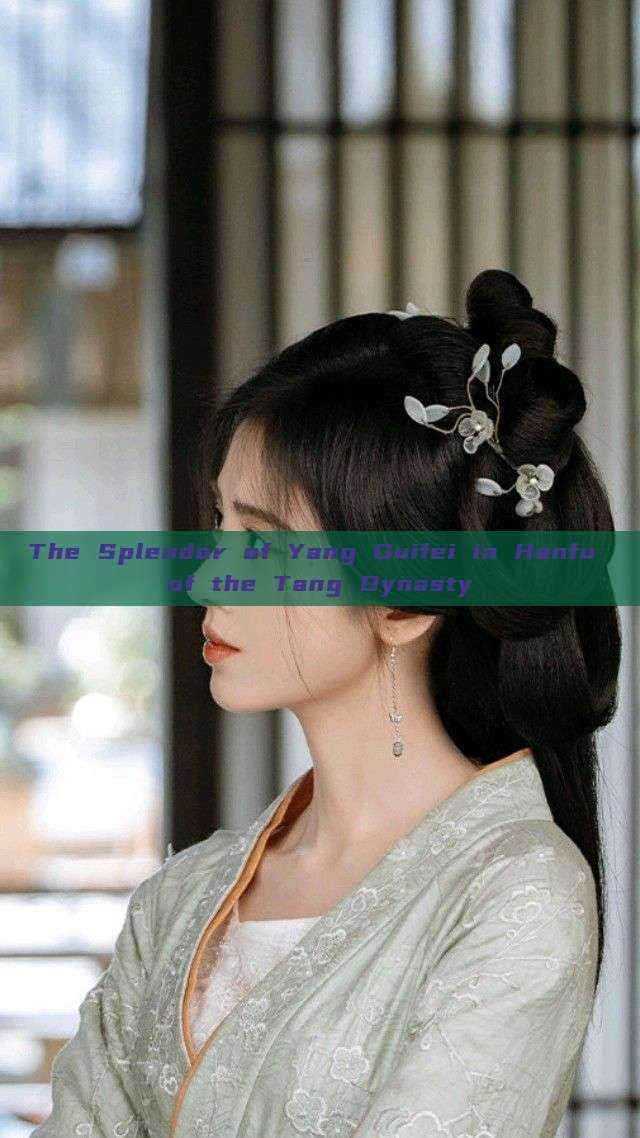 The Splendor of Yang Guifei in Hanfu of the Tang Dynasty The Splendor of Yang Guifei in Hanfu of the Tang Dynasty