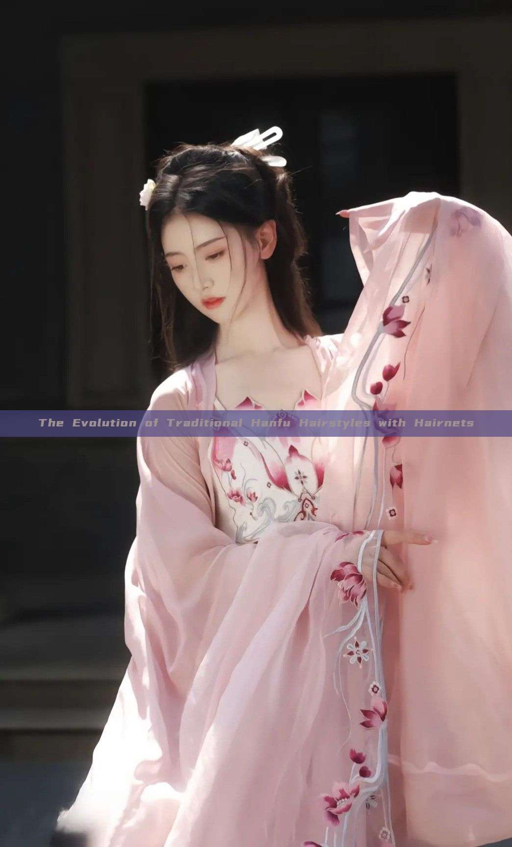 The Evolution of Traditional Hanfu Hairstyles with Hairnets The Evolution of Traditional Hanfu Hairstyles with Hairnets