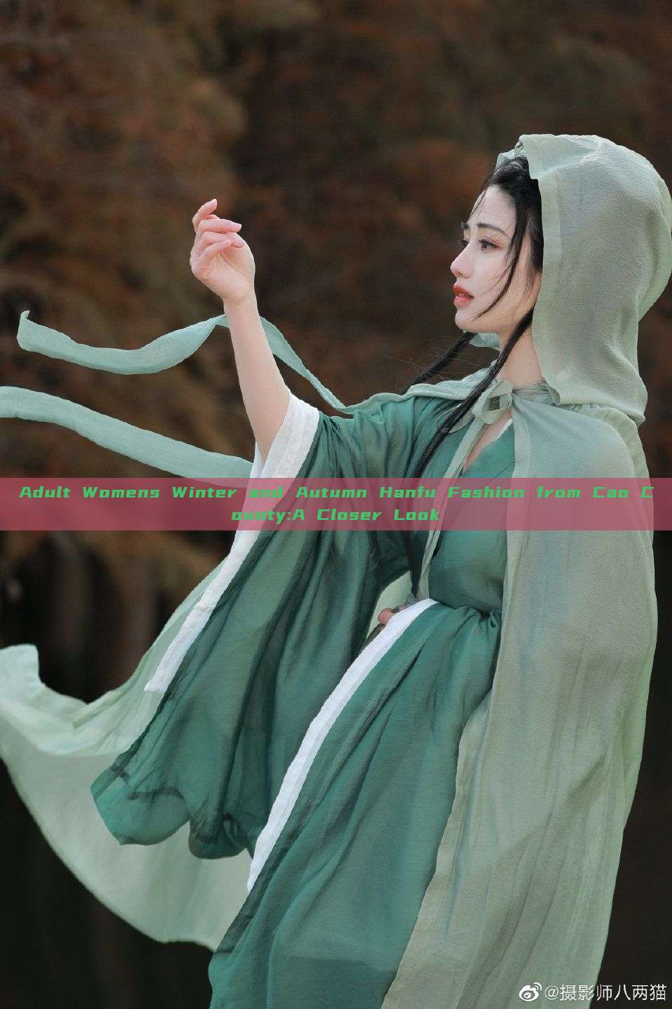 Adult Womens Winter and Autumn Hanfu Fashion from Cao County:A Closer Look