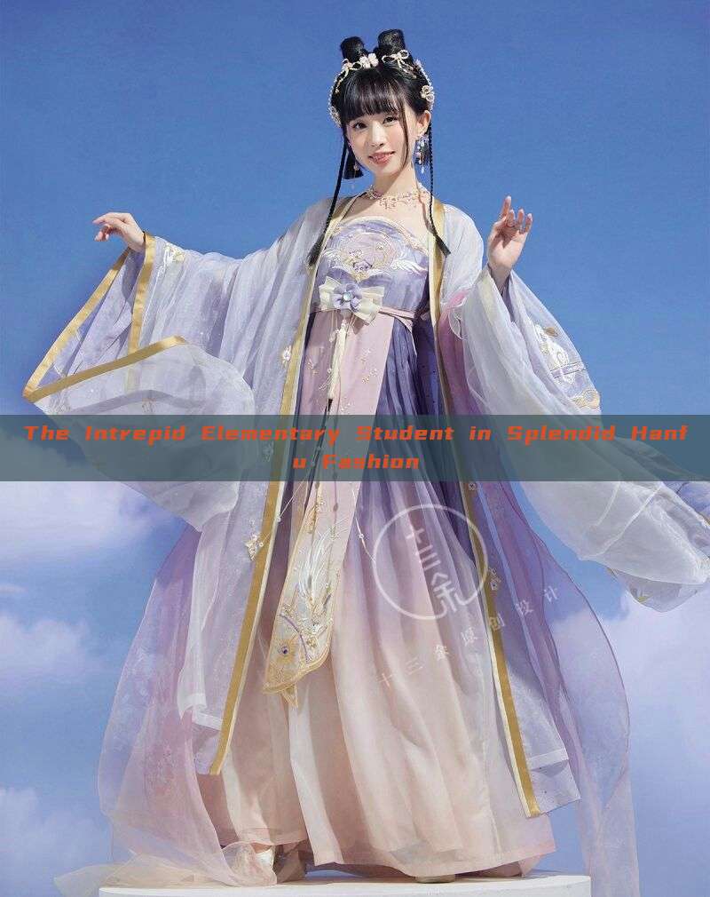 The Intrepid Elementary Student in Splendid Hanfu Fashion