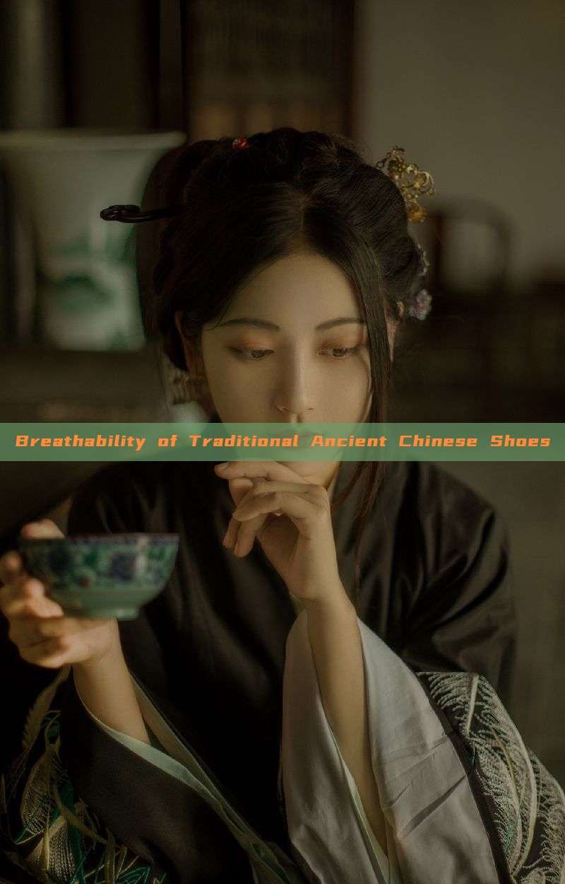 Breathability of Traditional Ancient Chinese Shoes Breathability of Traditional Ancient Chinese Shoes