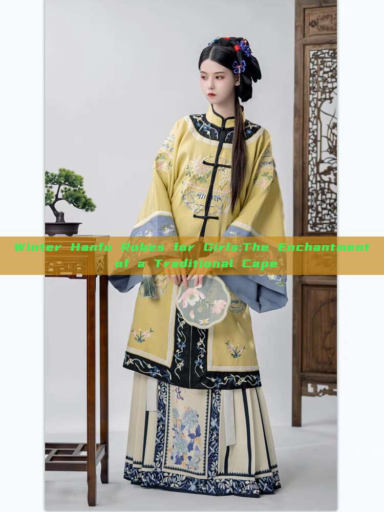 Winter Hanfu Robes for Girls:The Enchantment of a Traditional Cape Winter Hanfu Robes for Girls:The Enchantment of a Traditional Cape