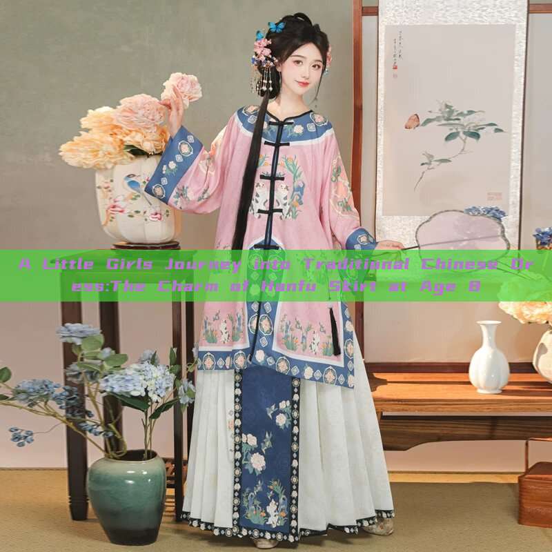 A Little Girls Journey into Traditional Chinese Dress:The Charm of Hanfu Skirt at Age 8 A Little Girls Journey into Traditional Chinese Dress:The Charm of Hanfu Skirt at Age 8