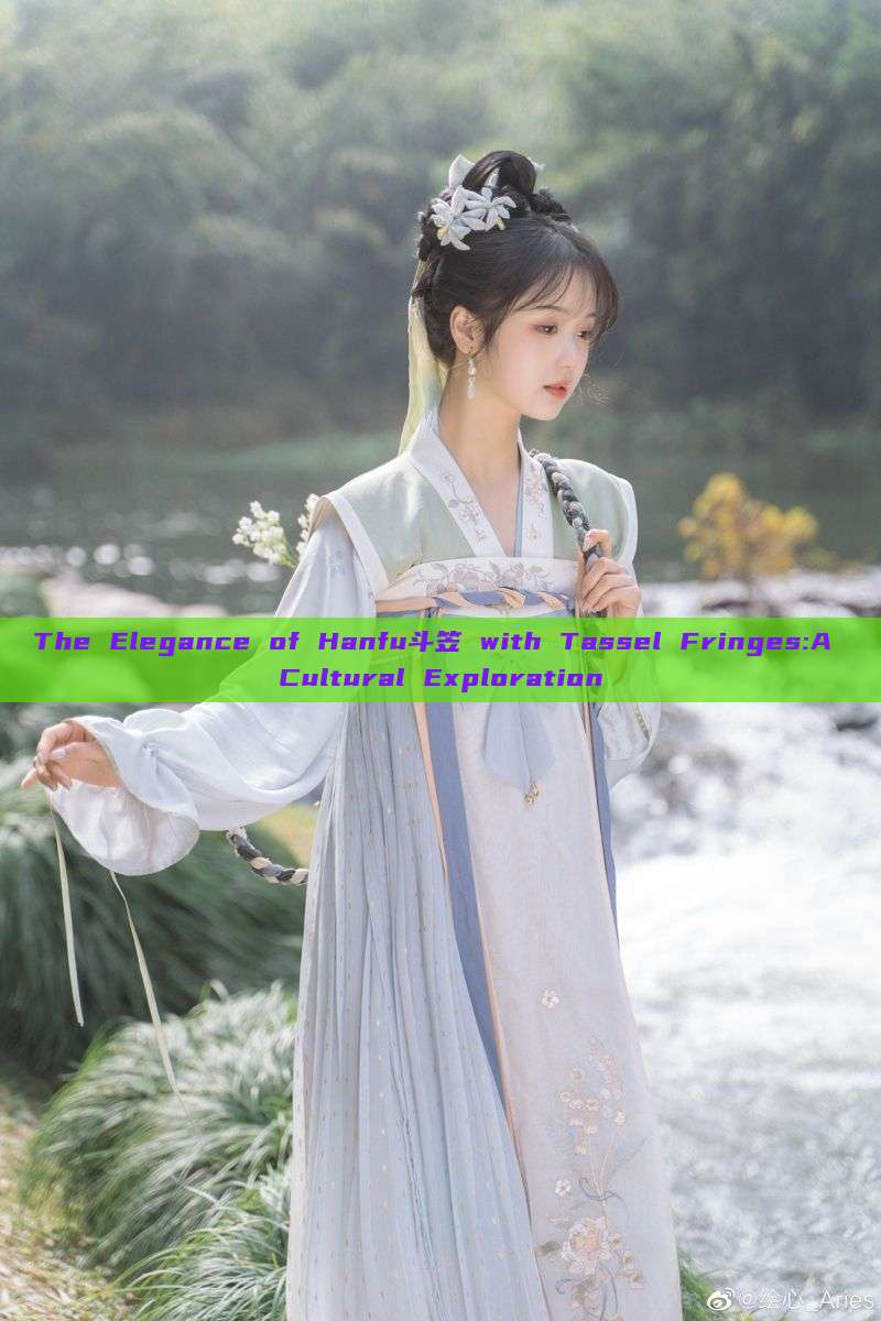 The Elegance of Hanfu斗笠 with Tassel Fringes:A Cultural Exploration The Elegance of Hanfu斗笠 with Tassel Fringes:A Cultural Exploration