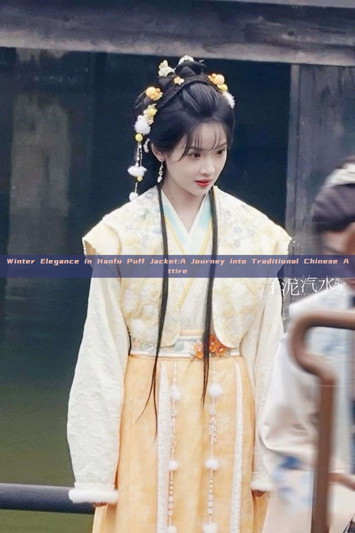 Winter Elegance in Hanfu Puff Jacket:A Journey into Traditional Chinese Attire Winter Elegance in Hanfu Puff Jacket:A Journey into Traditional Chinese Attire