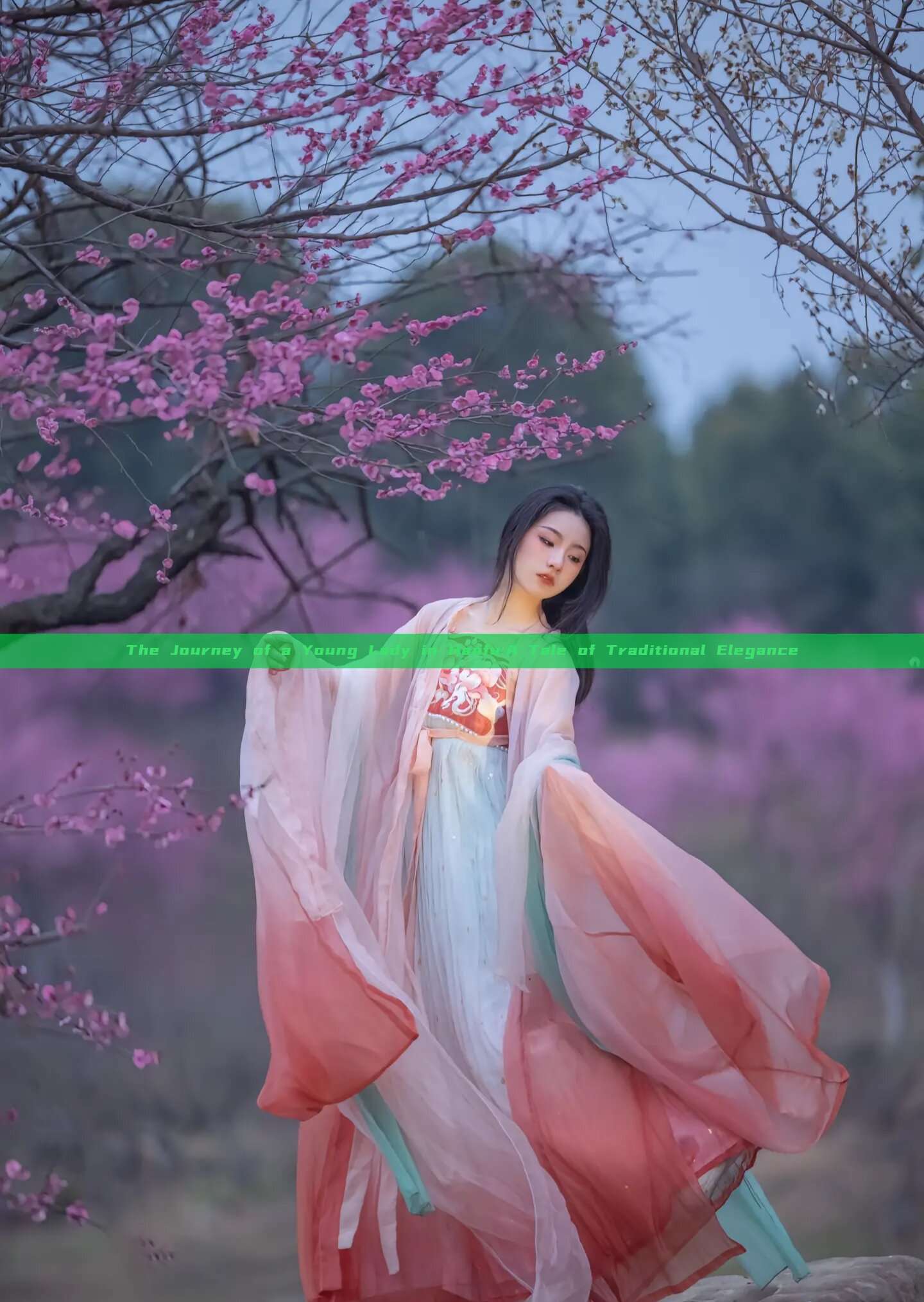 The Journey of a Young Lady in Hanfu:A Tale of Traditional Elegance The Journey of a Young Lady in Hanfu:A Tale of Traditional Elegance