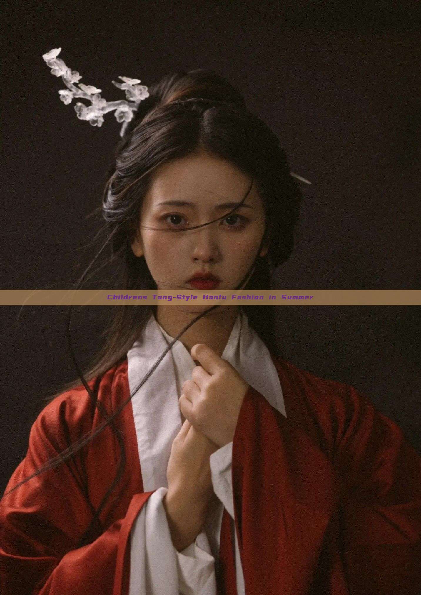 Childrens Tang-Style Hanfu Fashion in Summer Childrens Tang-Style Hanfu Fashion in Summer