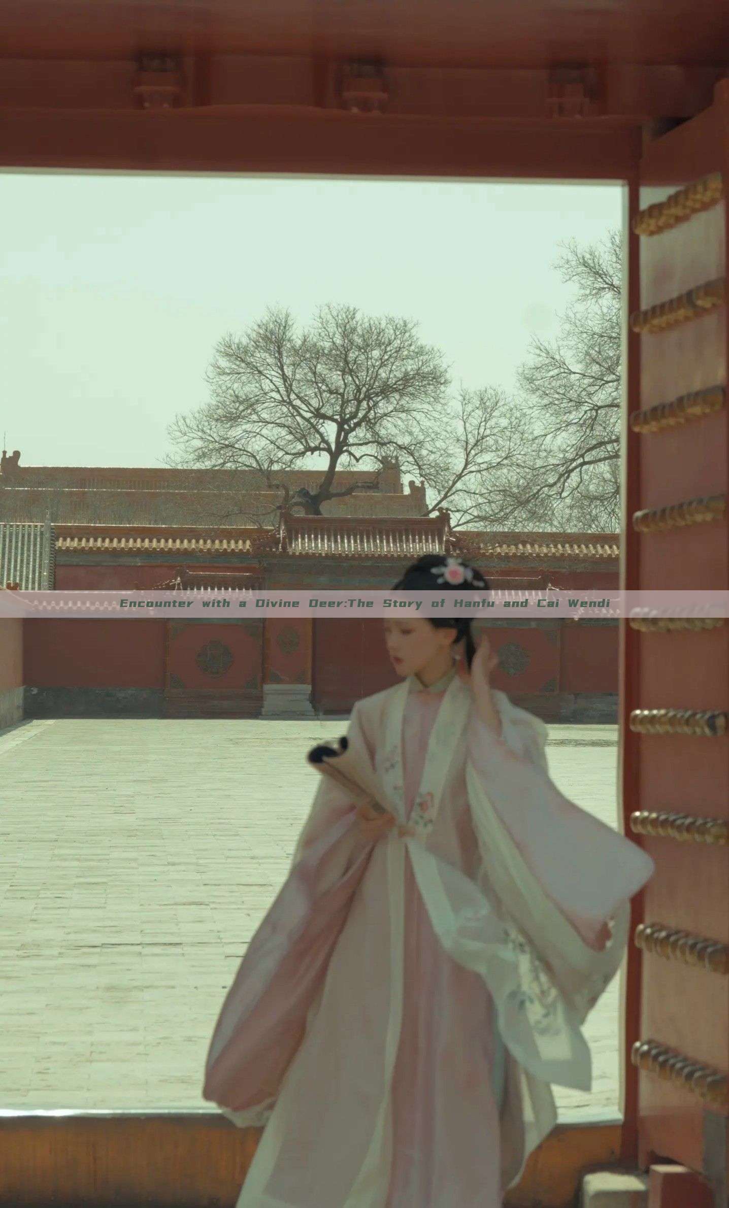 Encounter with a Divine Deer:The Story of Hanfu and Cai Wendi