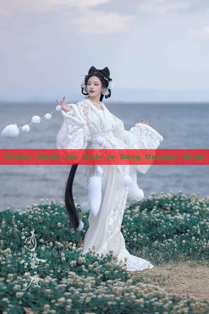 Winter Hanfu for Girls in Song Dynasty Style Winter Hanfu for Girls in Song Dynasty Style
