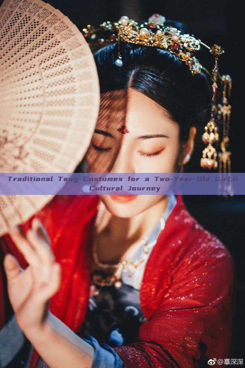 Traditional Tang Costumes for a Two-Year-Old Girl:A Cultural Journey Traditional Tang Costumes for a Two-Year-Old Girl:A Cultural Journey