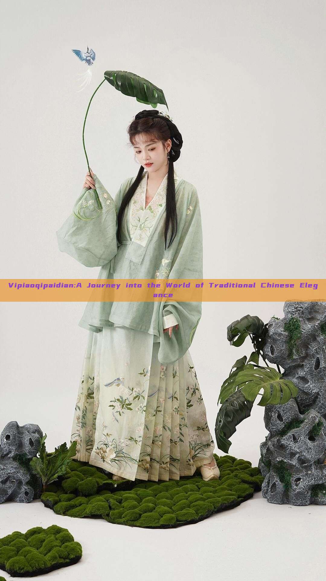 Vipiaoqipaidian:A Journey into the World of Traditional Chinese Elegance