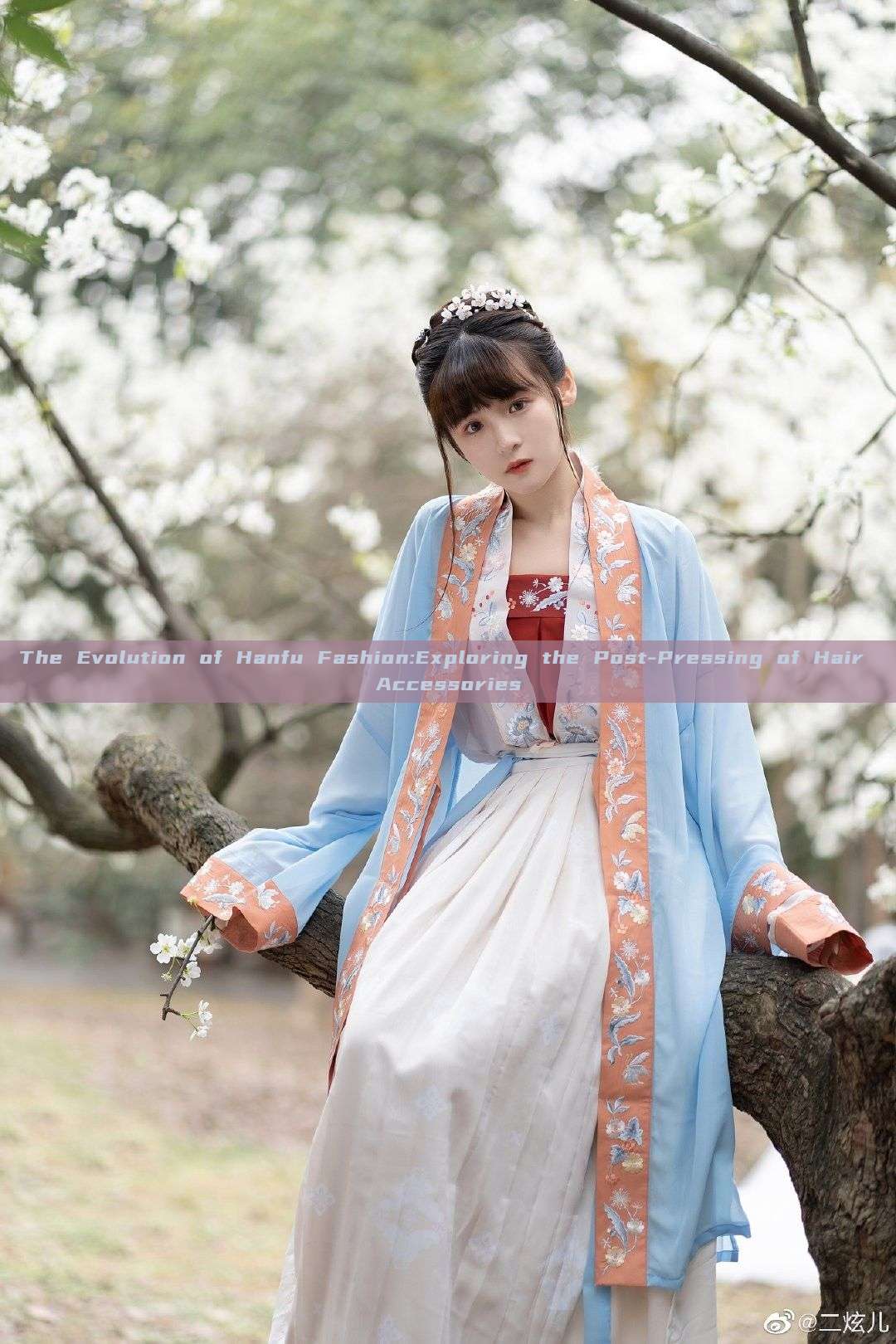 The Evolution of Hanfu Fashion:Exploring the Post-Pressing of Hair Accessories The Evolution of Hanfu Fashion:Exploring the Post-Pressing of Hair Accessories
