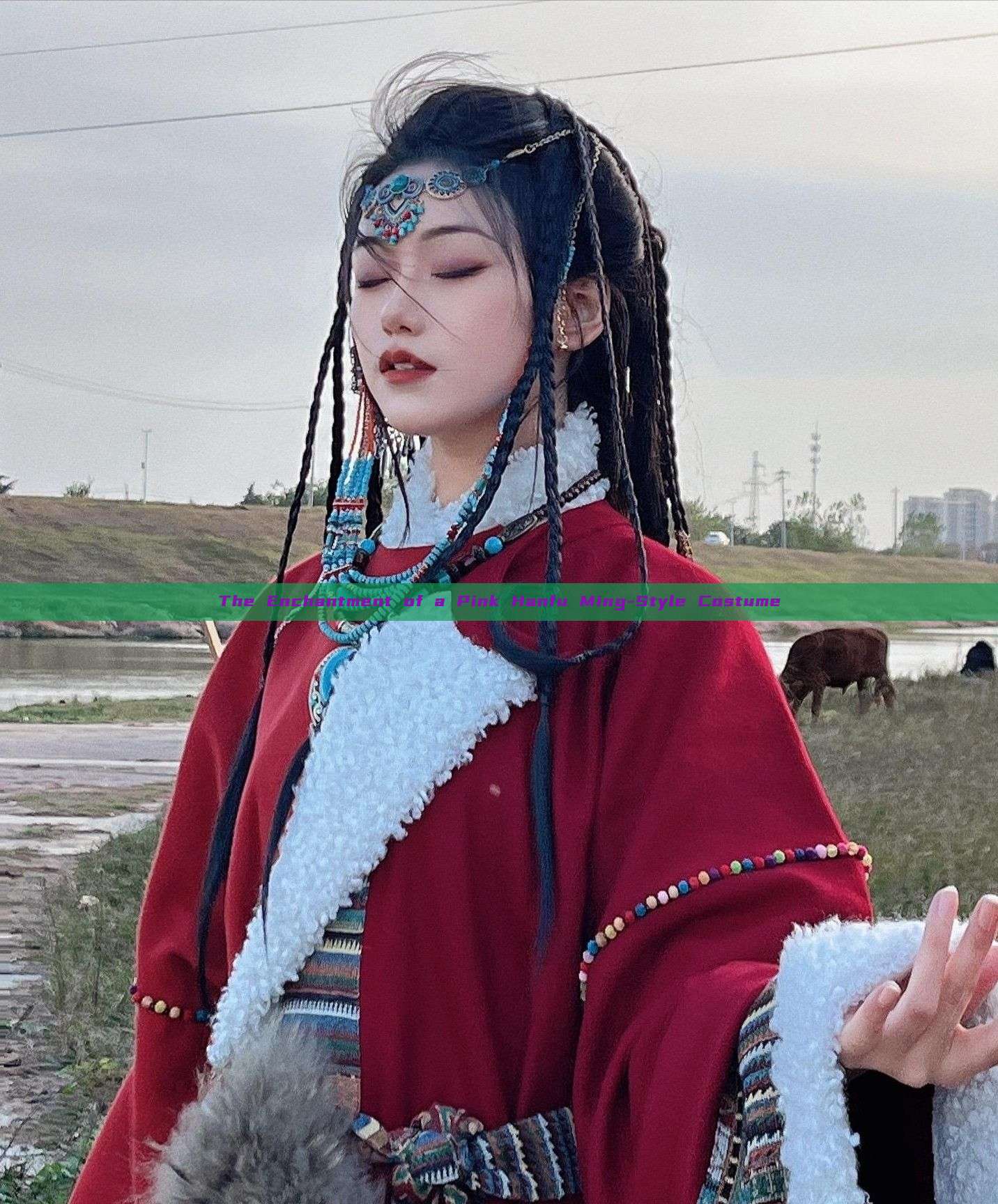 The Enchantment of a Pink Hanfu Ming-Style Costume
