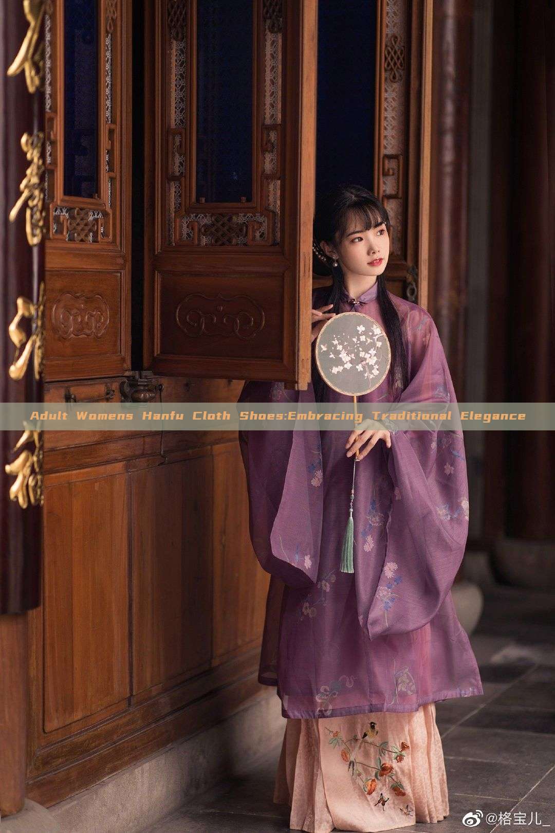 Adult Womens Hanfu Cloth Shoes:Embracing Traditional Elegance Adult Womens Hanfu Cloth Shoes:Embracing Traditional Elegance