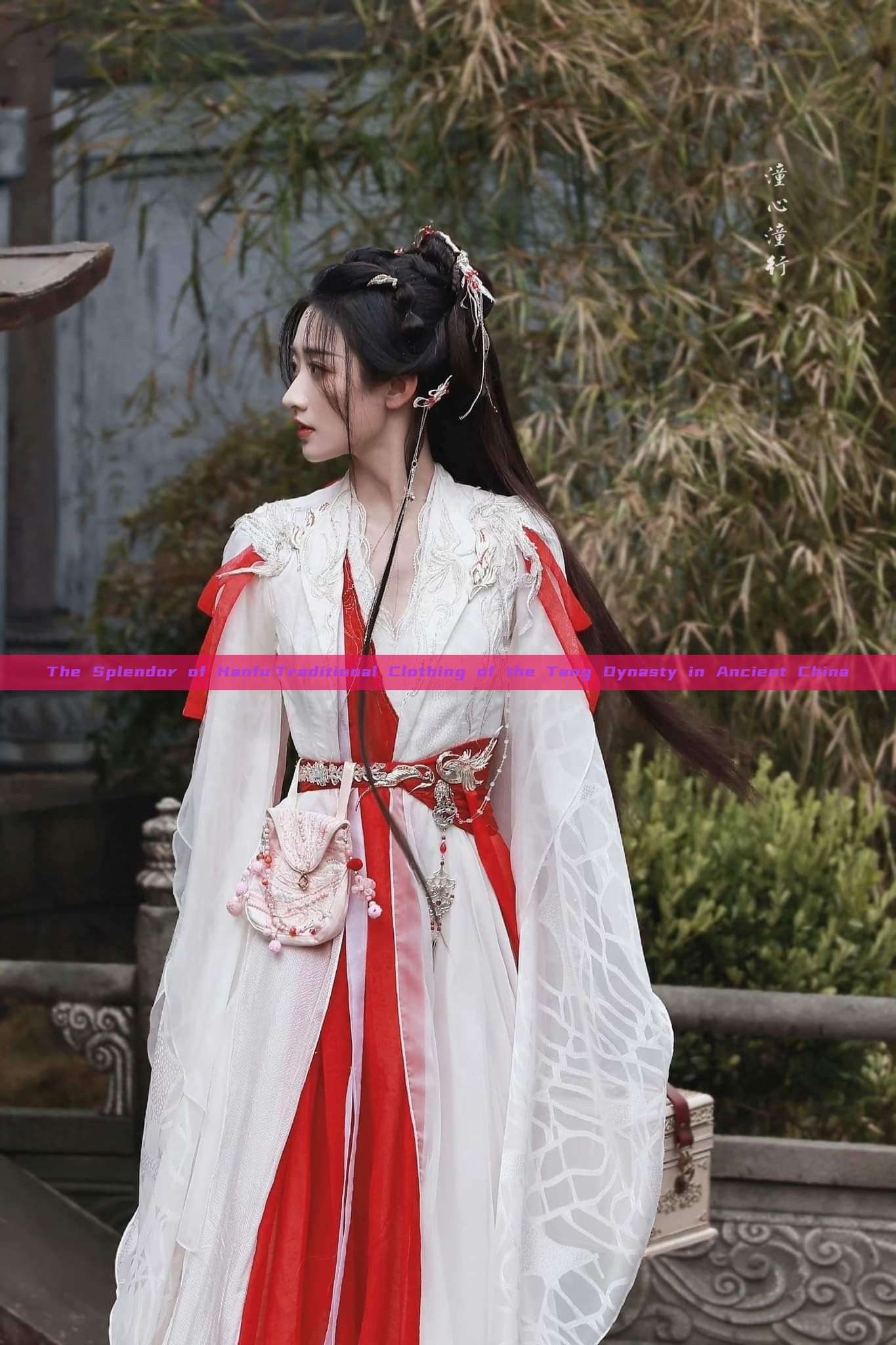 The Splendor of Hanfu:Traditional Clothing of the Tang Dynasty in Ancient China The Splendor of Hanfu:Traditional Clothing of the Tang Dynasty in Ancient China