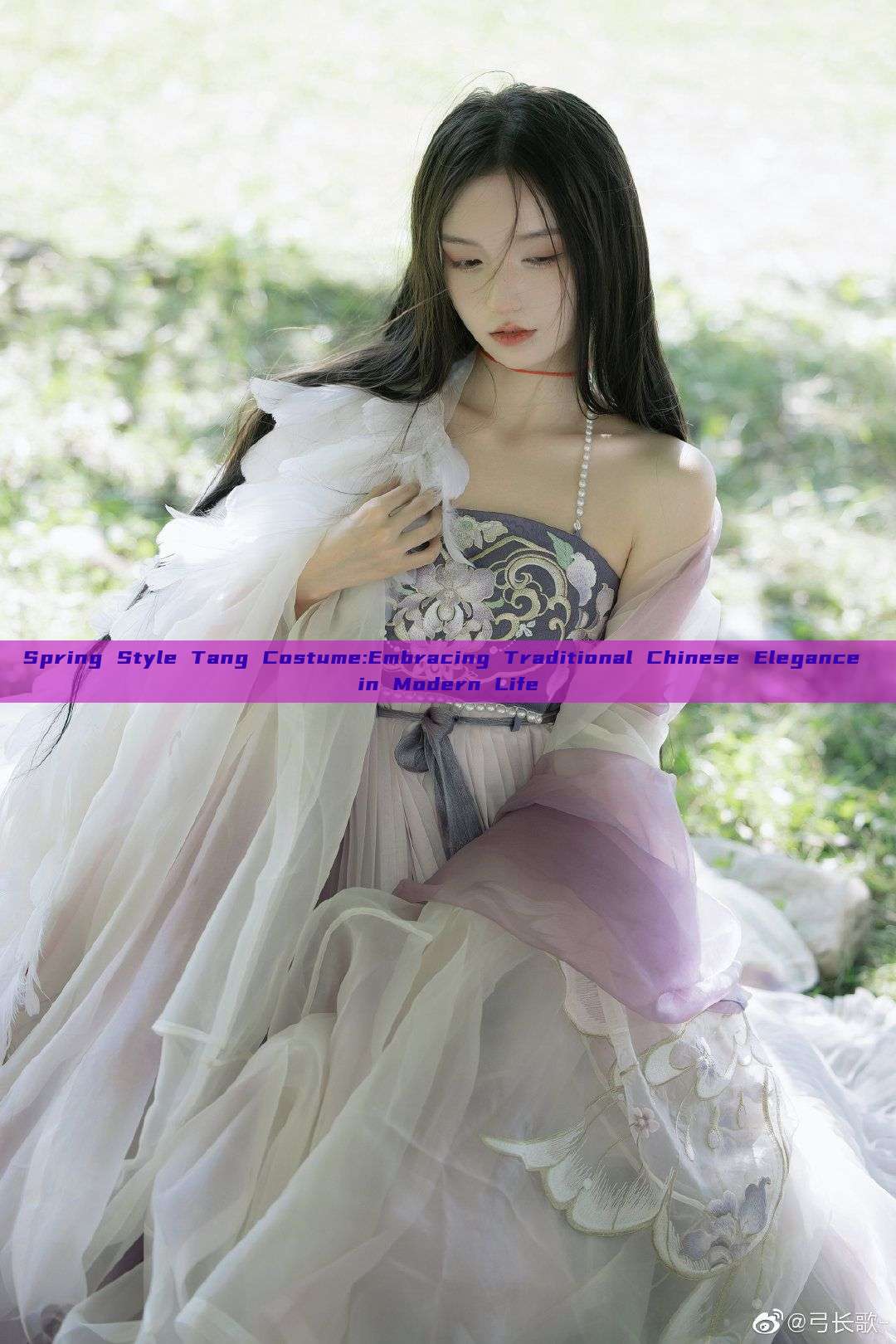 Spring Style Tang Costume:Embracing Traditional Chinese Elegance in Modern Life