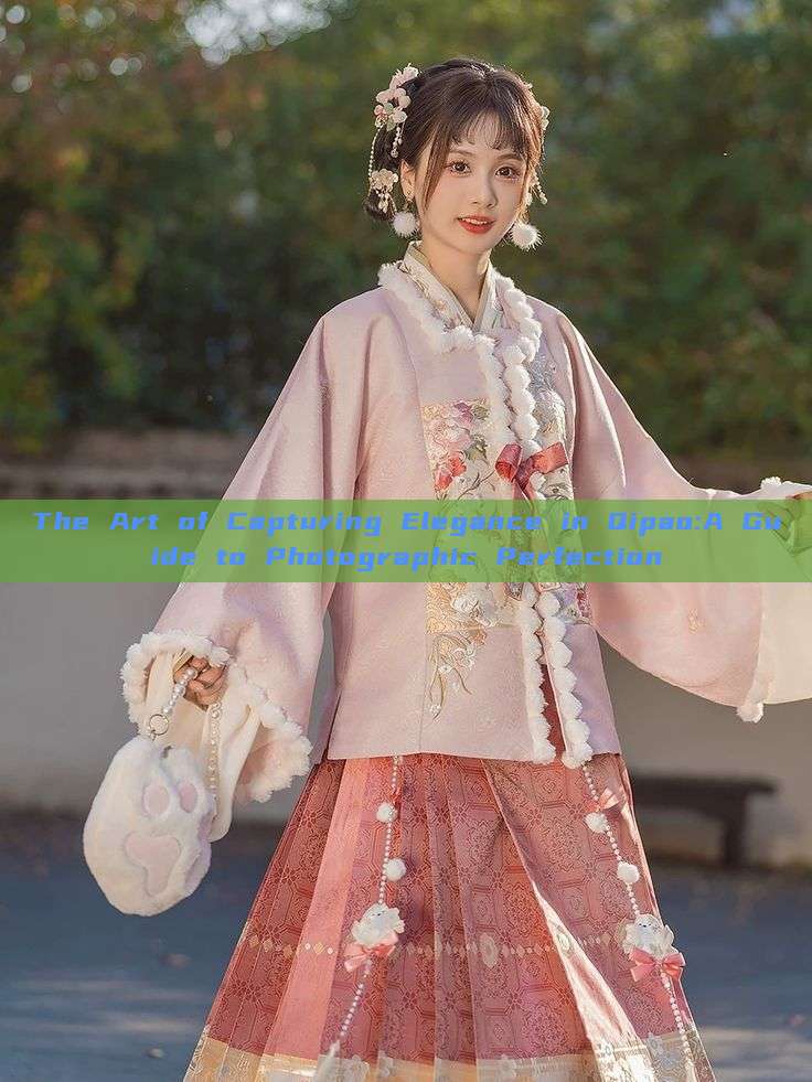 The Art of Capturing Elegance in Qipao:A Guide to Photographic Perfection The Art of Capturing Elegance in Qipao:A Guide to Photographic Perfection