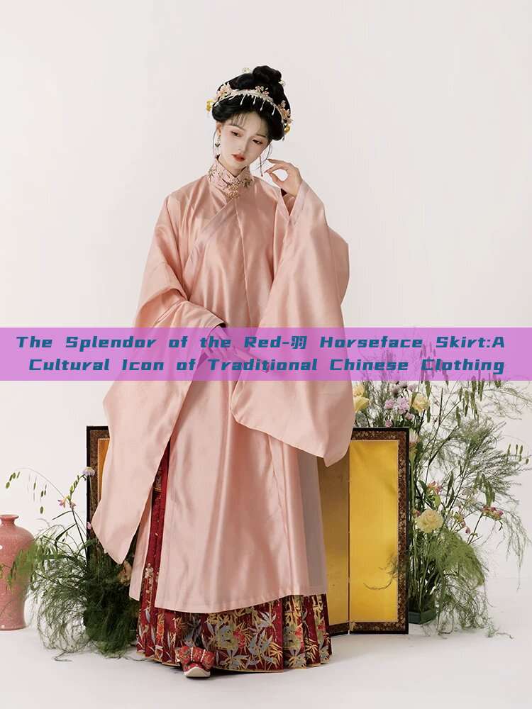 The Splendor of the Red-羽 Horseface Skirt:A Cultural Icon of Traditional Chinese Clothing