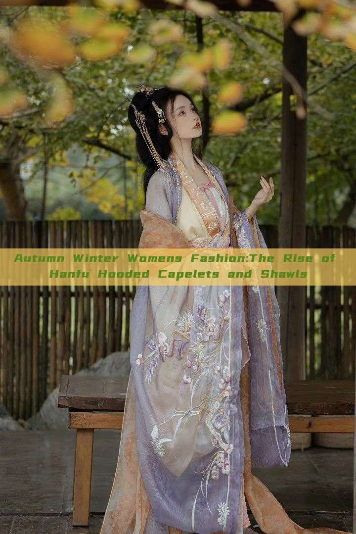 Autumn Winter Womens Fashion:The Rise of Hanfu Hooded Capelets and Shawls Autumn Winter Womens Fashion:The Rise of Hanfu Hooded Capelets and Shawls