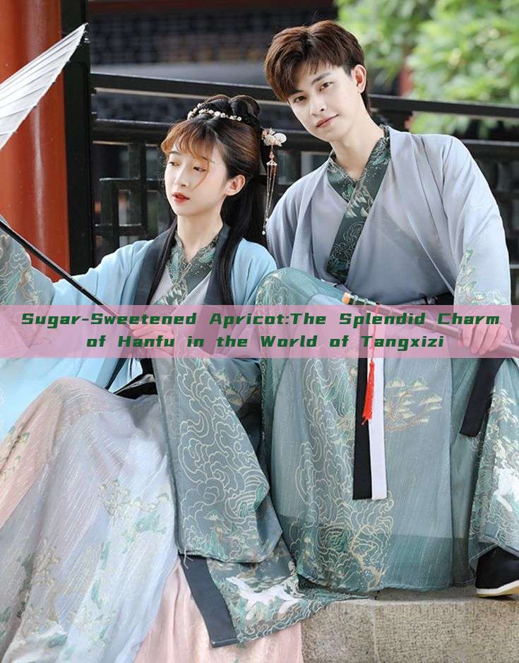 Sugar-Sweetened Apricot:The Splendid Charm of Hanfu in the World of Tangxizi Sugar-Sweetened Apricot:The Splendid Charm of Hanfu in the World of Tangxizi
