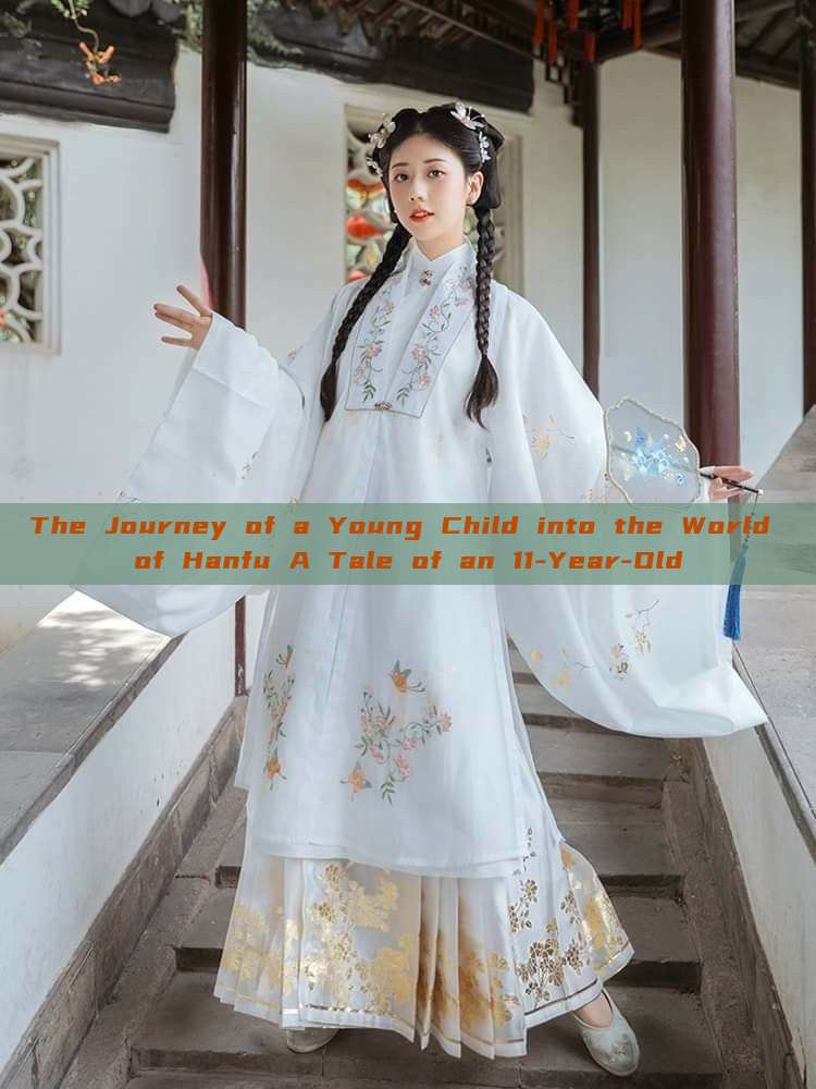 The Journey of a Young Child into the World of Hanfu A Tale of an 11-Year-Old The Journey of a Young Child into the World of Hanfu A Tale of an 11-Year-Old