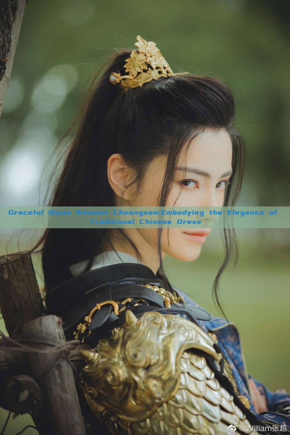 Graceful Qipao Womens Cheongsam:Embodying the Elegance of Traditional Chinese Dress Graceful Qipao Womens Cheongsam:Embodying the Elegance of Traditional Chinese Dress