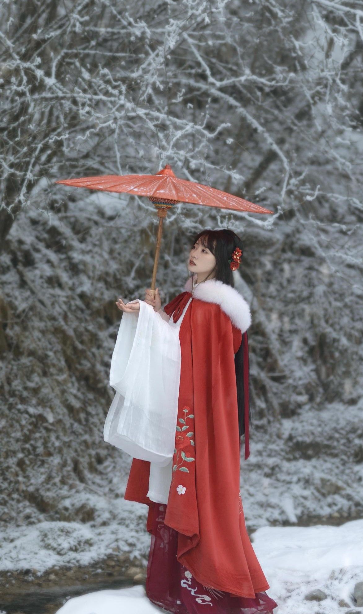 The Revival of Bubble-袖 Cheongsam:A Journey into Chinese Fashion