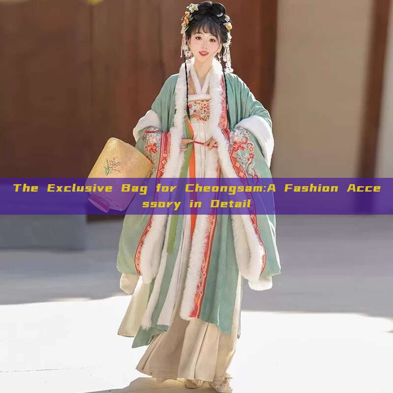 The Exclusive Bag for Cheongsam:A Fashion Accessory in Detail
