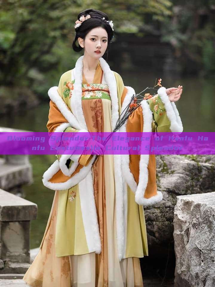 Blooming Splendor:The Elegance of Hanfu Hanfu Costumes)in Cultural Splendor