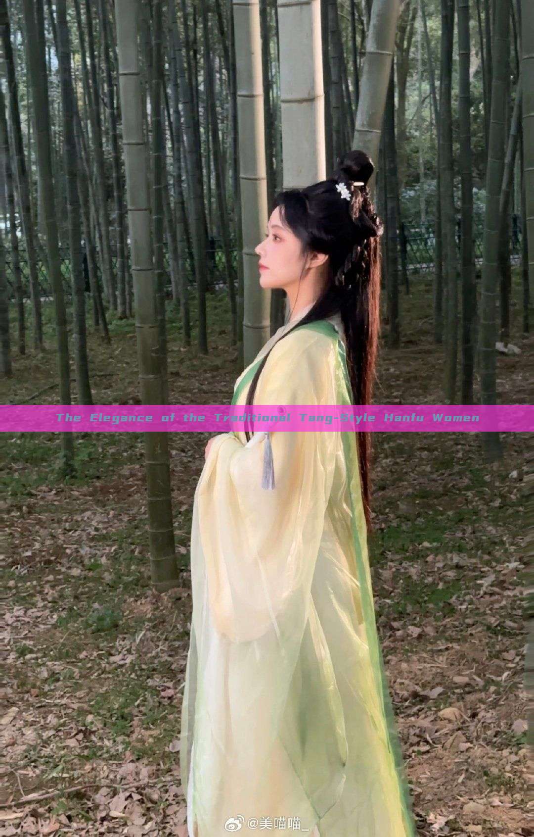 The Elegance of the Traditional Tang-Style Hanfu Women