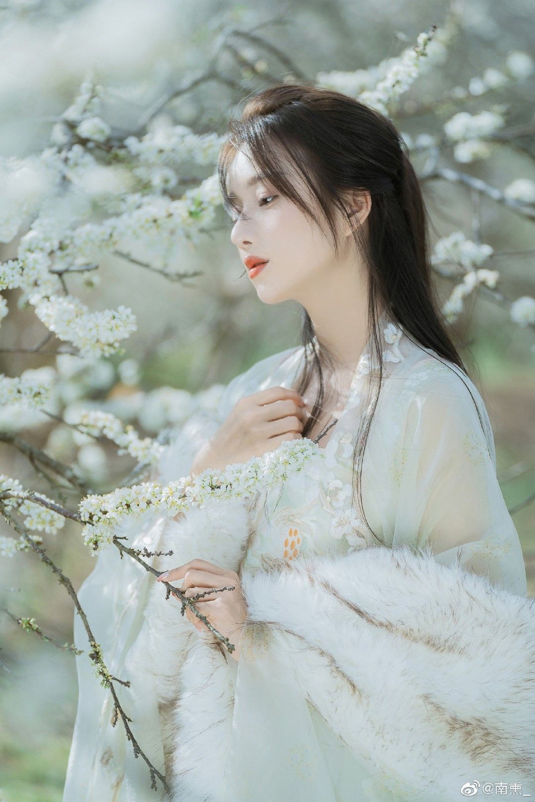 The Enchantment of Dance Cheongsam and Classical Dance in China