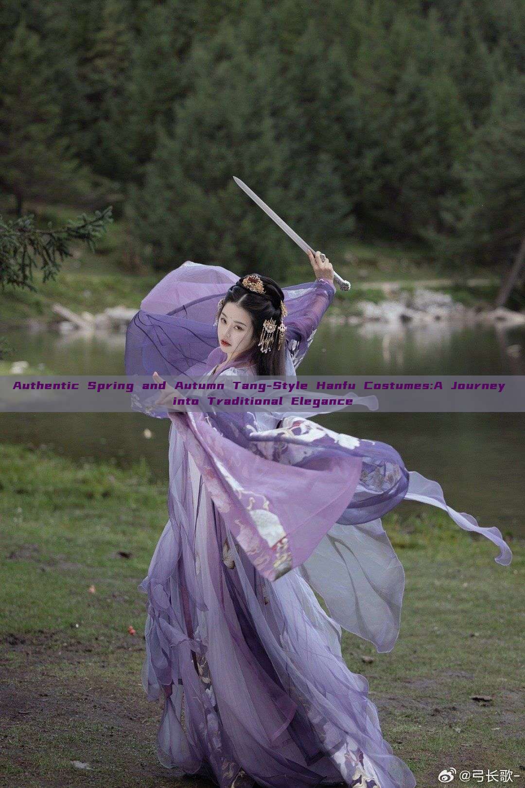 Authentic Spring and Autumn Tang-Style Hanfu Costumes:A Journey into Traditional Elegance