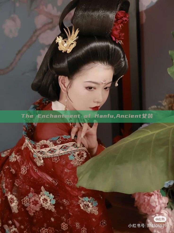 The Enchantment of Hanfu,Ancient女装