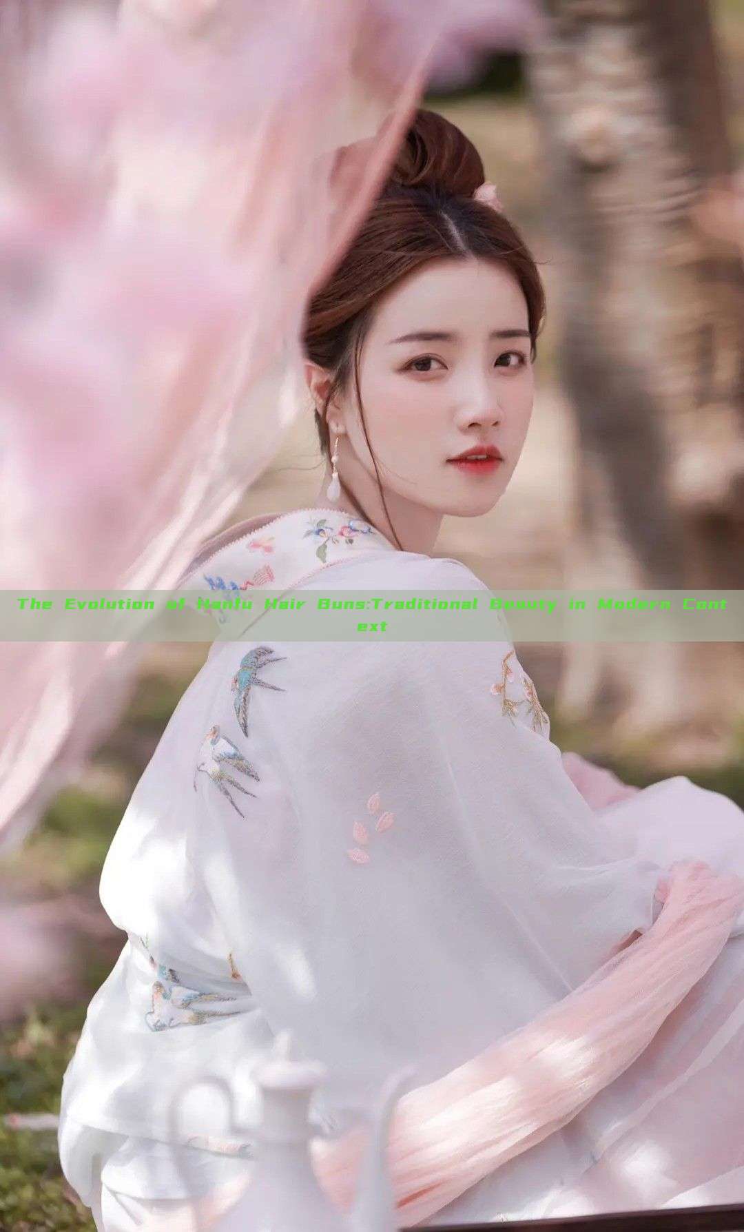 The Evolution of Hanfu Hair Buns:Traditional Beauty in Modern Context