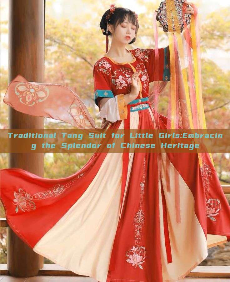 Traditional Tang Suit for Little Girls:Embracing the Splendor of Chinese Heritage