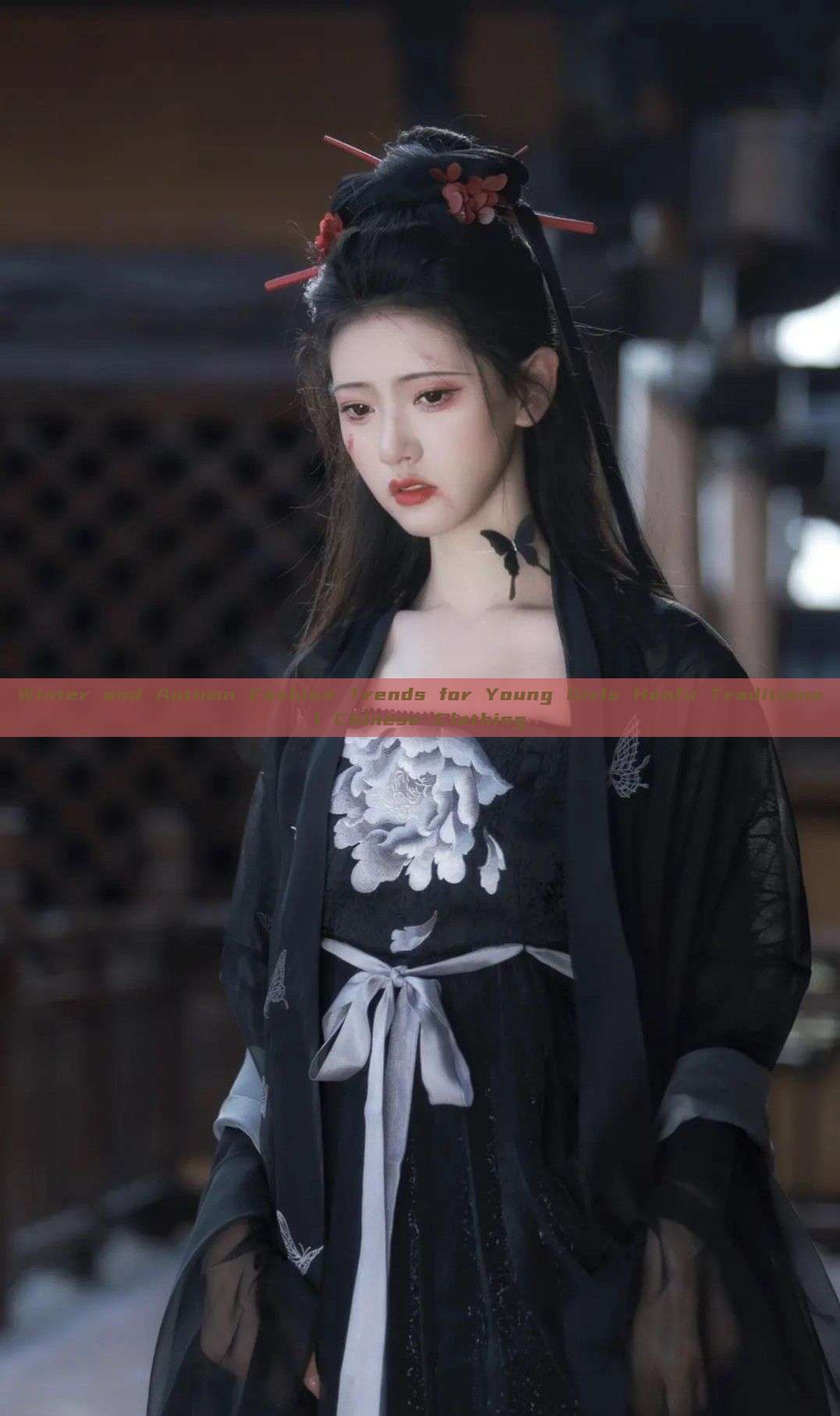 Winter and Autumn Fashion Trends for Young Girls Hanfu Traditional Chinese Clothing Winter and Autumn Fashion Trends for Young Girls Hanfu Traditional Chinese Clothing
