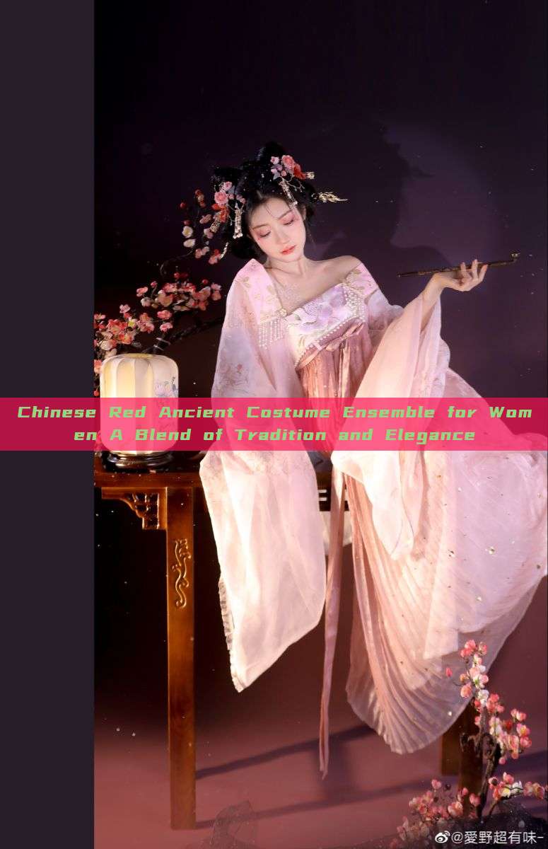 Chinese Red Ancient Costume Ensemble for Women A Blend of Tradition and Elegance Chinese Red Ancient Costume Ensemble for Women A Blend of Tradition and Elegance
