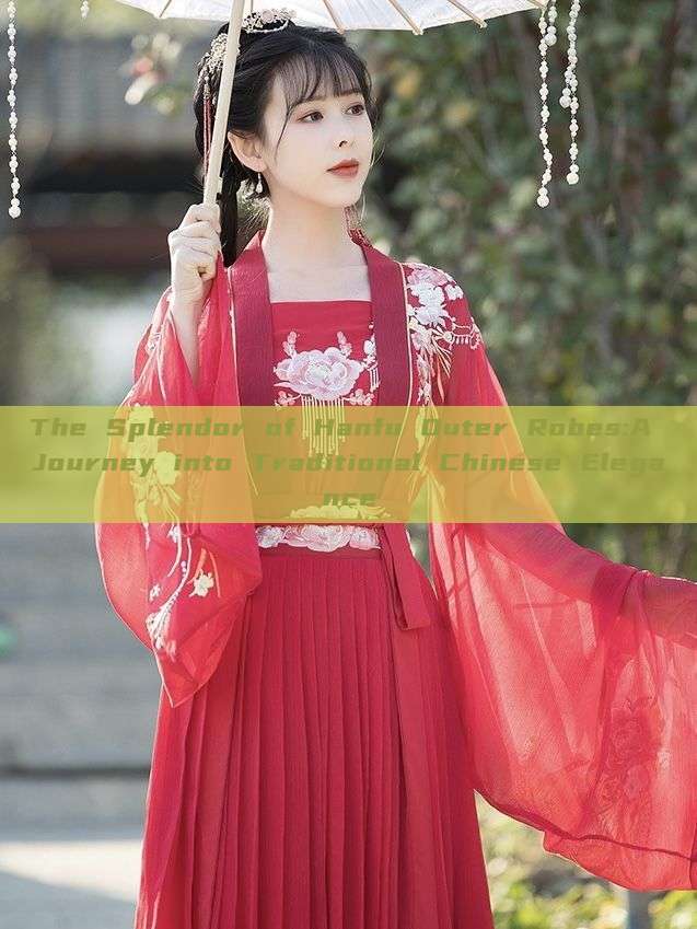 The Splendor of Hanfu Outer Robes:A Journey into Traditional Chinese Elegance The Splendor of Hanfu Outer Robes:A Journey into Traditional Chinese Elegance