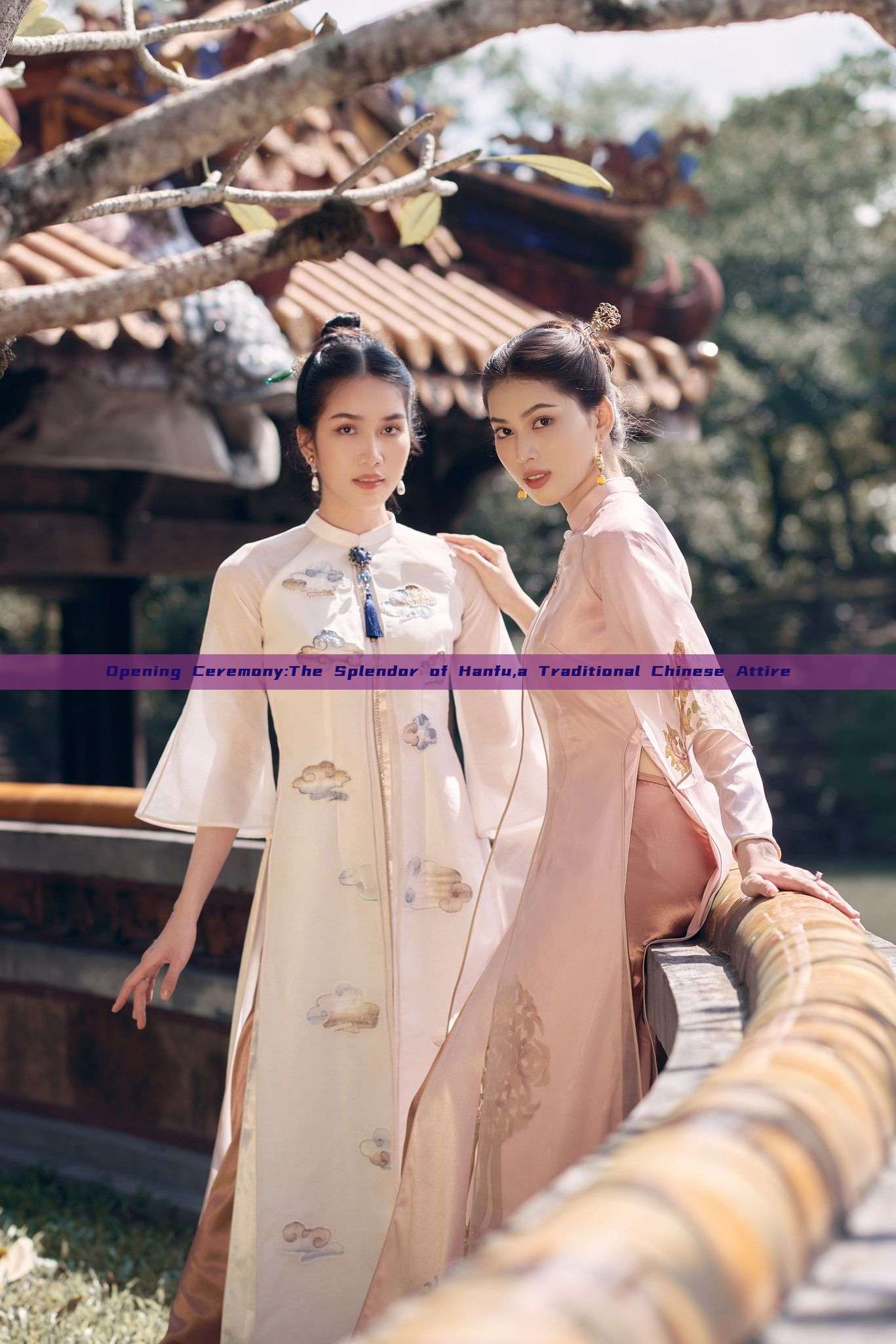 Opening Ceremony:The Splendor of Hanfu,a Traditional Chinese Attire Opening Ceremony:The Splendor of Hanfu,a Traditional Chinese Attire