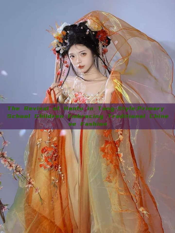 The Revival of Hanfu in Tang-Style:Primary School Children Embracing Traditional Chinese Fashion The Revival of Hanfu in Tang-Style:Primary School Children Embracing Traditional Chinese Fashion
