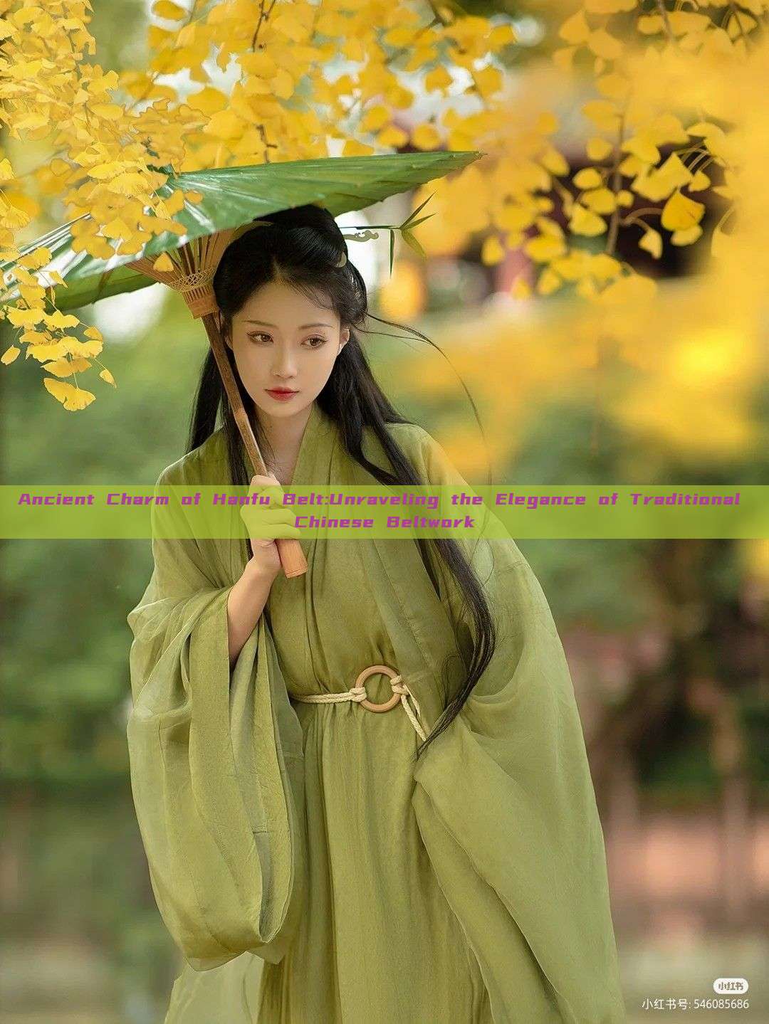 Ancient Charm of Hanfu Belt:Unraveling the Elegance of Traditional Chinese Beltwork Ancient Charm of Hanfu Belt:Unraveling the Elegance of Traditional Chinese Beltwork