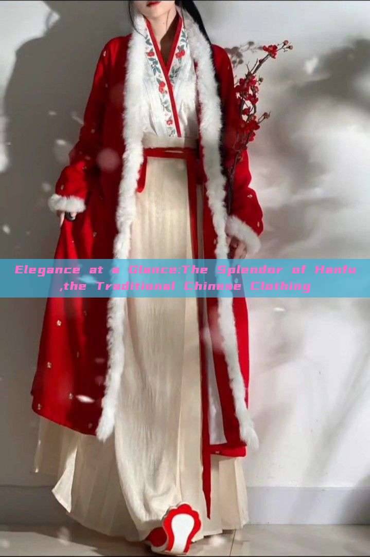 Elegance at a Glance:The Splendor of Hanfu,the Traditional Chinese Clothing Elegance at a Glance:The Splendor of Hanfu,the Traditional Chinese Clothing