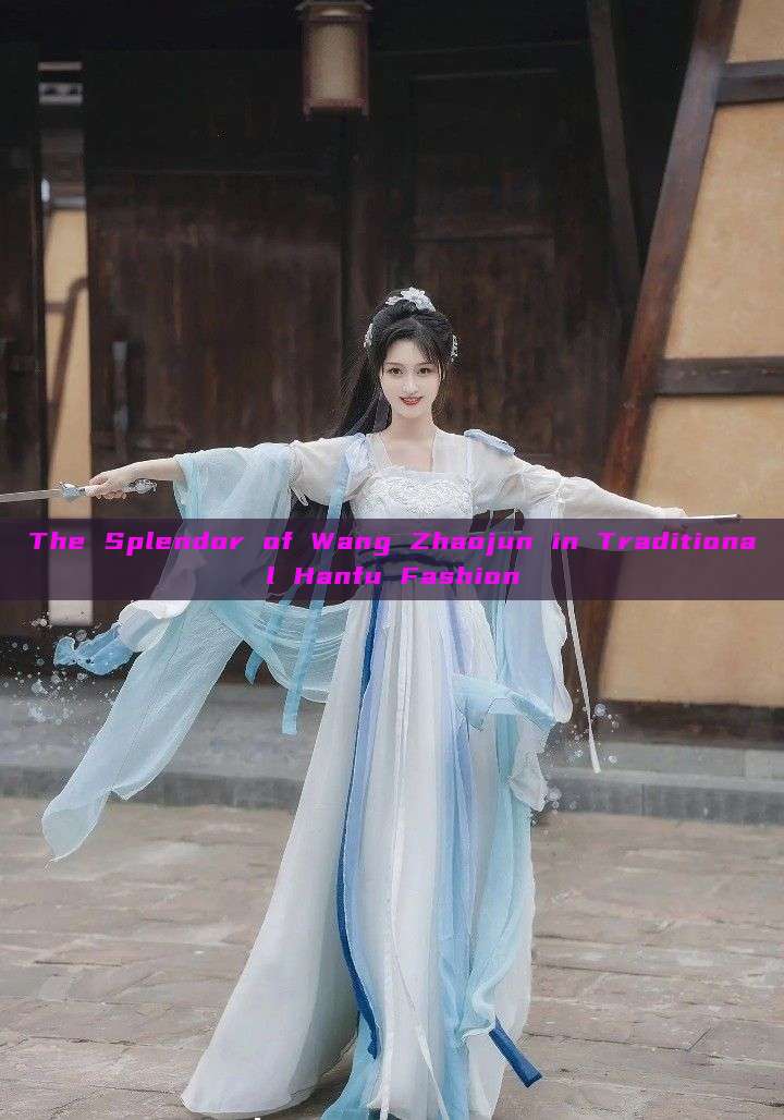 The Splendor of Wang Zhaojun in Traditional Hanfu Fashion The Splendor of Wang Zhaojun in Traditional Hanfu Fashion