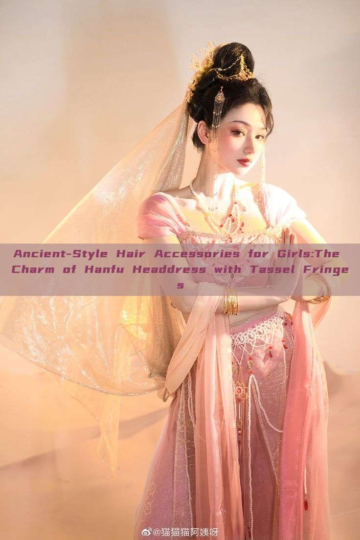 Ancient-Style Hair Accessories for Girls:The Charm of Hanfu Headdress with Tassel Fringes Ancient-Style Hair Accessories for Girls:The Charm of Hanfu Headdress with Tassel Fringes