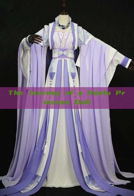 The Journey of a Hanfu Princess Doll The Journey of a Hanfu Princess Doll