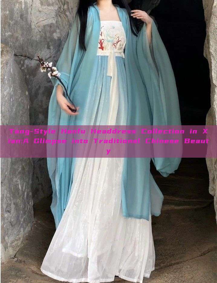 Tang-Style Hanfu Headdress Collection in Xian:A Glimpse into Traditional Chinese Beauty