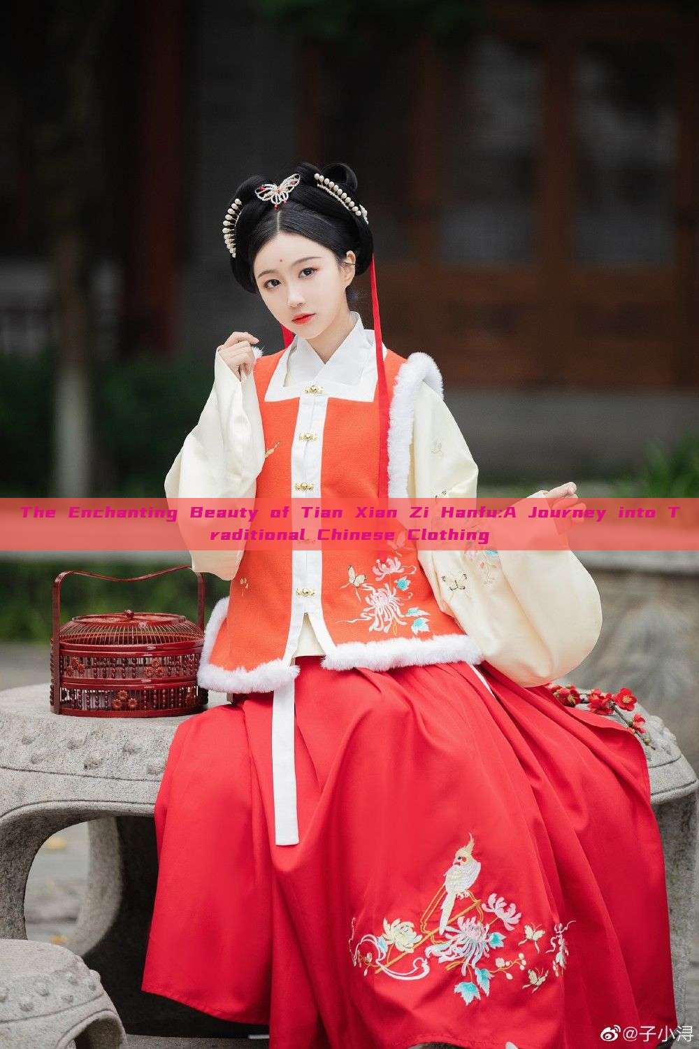 The Enchanting Beauty of Tian Xian Zi Hanfu:A Journey into Traditional Chinese Clothing The Enchanting Beauty of Tian Xian Zi Hanfu:A Journey into Traditional Chinese Clothing