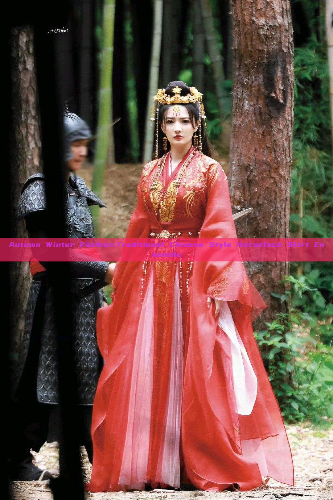 Autumn Winter Fashion:Traditional Chinese Style Horseface Skirt Ensemble Autumn Winter Fashion:Traditional Chinese Style Horseface Skirt Ensemble